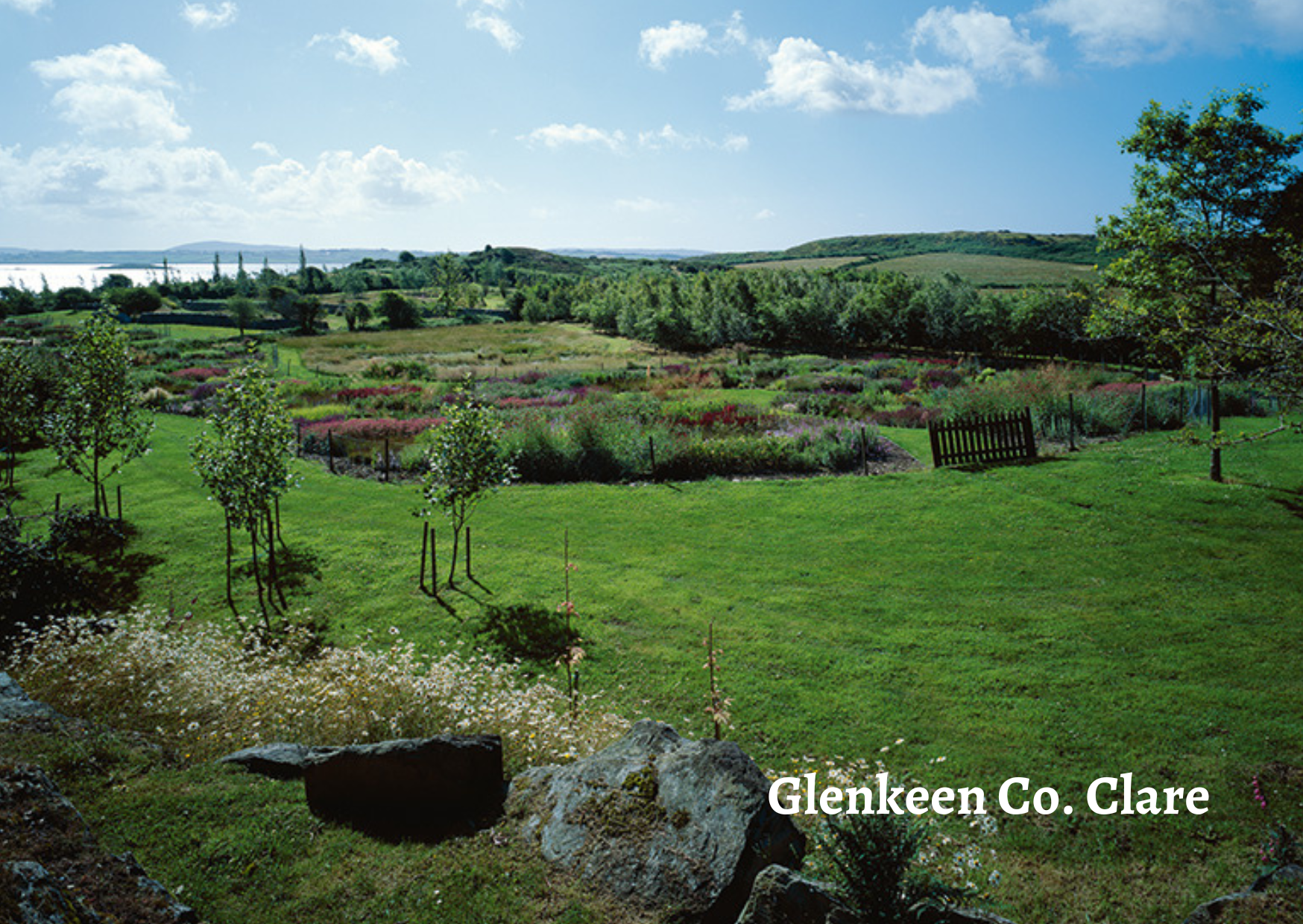 The Irish Australians - The humble beginnings of Glenkeen Wines
